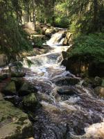 Harznest 2 - Ferienwohnung Braunlage