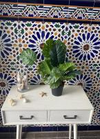 Apartamento La Pepa - Santa Cruz de La Palma - Chambres d'hôtes Santa Cruz de La Palma
