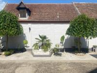VIKI apartman - B&B