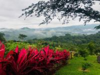 Luxury Villa Carao - Serene Amazing Views and Starlink - Chambres d’hôtes San Mateo