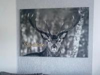 Ferienwohnung Stryckliebe - B&B Willingen