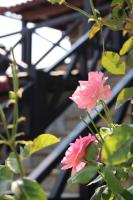 Casa da Aldeia da Avó - Ferienwohnung Valpaços