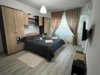 B&B Iasi - Sfântul Lazăr Apartament Palas Mall Center - Bed and Breakfast Iasi