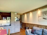 Studio rénové skis aux pieds avec balcon sud, 4 pers, garage inclus - FR-1-178-375 - B&B