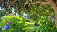 Casa Pinho - B&B São Pedro do Sul