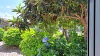 Casa Pinho - Bed and Breakfast