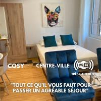 B&B Albi - Premium Appart Albi - Bed and Breakfast Albi