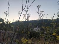 Avgonima Family's Rooms Grandfather Michalis - B&B Chio