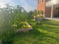 Dar Moghal - Chambres d’hôtes Tiflet