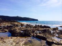 Casa Vacanze Domus - B&B Centola