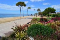 Luxury Apartamenty - B&B Pineda