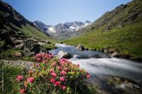 La Petite Maison du hÊtre - Bed and Breakfast Brassac