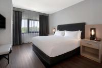 Suite mit 1 Schlafzimmer mit Kingsize-Bett und mit Schlafsofa - Nichtraucher