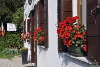 River Venice - B&B Dolo