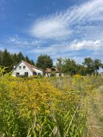 Appartamento Deluxe con 1 Camera da Letto