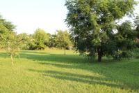 B&B Lory's Dream - B&B Fontanafredda