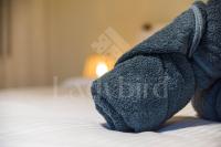 Ladybird - Azzurra Beauty - B&B Hurghada