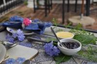 Plumbago Guest House - B&B Hazyview