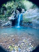 Basic Dreibettzimmer mit Gemeinschaftsbad