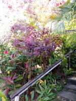 Island Home - Ferienwohnung Honiara