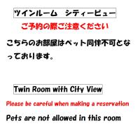 Twin Room with City View