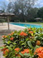 Kingston tropical retreat - Ferienwohnung Kingston