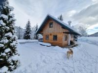 Chalet am Teich Familie Gänser - B&B