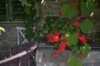 Barbara`s Village House - B&B Villa del Nevoso