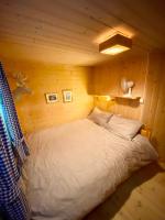 Three bedroom holiday house with jacuzzi in Bjorli , pets allowed - B&B Bjorli