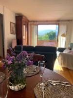 Precioso dúplex en Puigcerdà con plaza de pàrking - B&B