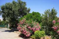 The Baker's Delight - B&B Cythera