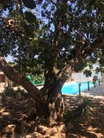 Casa della Salvia con Piscina, relax in campagna vicino al mare - B&B Santa Croce Camerina