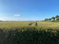 Waterside mini lodge - pet friendly, WiFi, direct beach access & club on site - Meadow Lakes Caravan & Lodge Hire - Ferienwohnung Ingoldmells