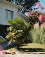 Villa Sayulita Surfhouse - B&B