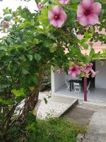 F1 studio Martinique - B&B