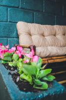 Studio Bougainville - Praia do Rosa - B&B Imbituba