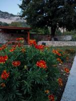 Meadow's Edge - Charming Rustic Escape - B&B