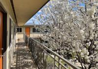 Bright Top Floor-King Bed-Parking-Fast Wi-Fi - Chambres d’hôtes
