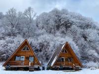 Cabanutze Satic - Bed and Breakfast Rucăr