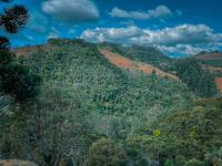 Chalé Superior com Vista da Montanha