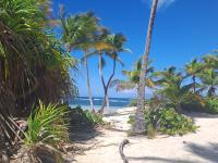 Les cases durivage vfc - B&B Sainte-Anne