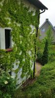 Haus Seefeld - B&B