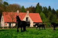 B&B Hertsberge - B&B Heerlijkhyd - Bed and Breakfast Hertsberge