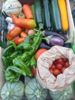 MASIA CAN SUNYER AGROTURISMO - B&B la Garriga