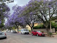 B&B Glenunga - Cosy 2-bedroom apartment in tree-lined Highgate with free parking, Wi-Fi & Netflix - Bed and Breakfast Glenunga