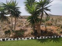 LANZAROTE Casa Volcánica-Anclada sobre la lava del volcán - Chambres d'hôtes Montaña Blanca