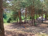 Holenderki na Zielonych Wzgórzach, Łowyń - Bed and Breakfast
