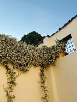 Pizzighettone Residenza La Corte - Ferienwohnung