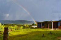 Hilltop Retreat - best of both worlds: Beach/farm - B&B