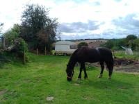 Retro caravan - B&B Rock